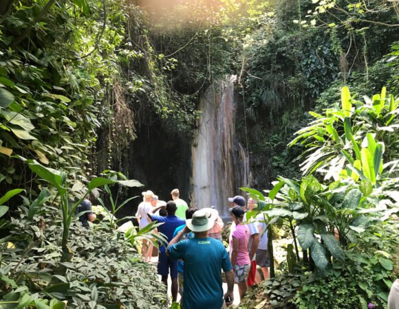 Soufriere-Excursion-Tour
