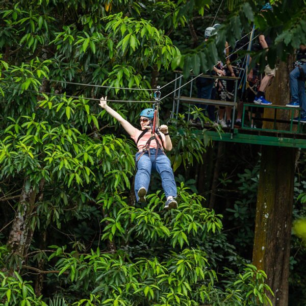 Ziplining in St. Lucia
